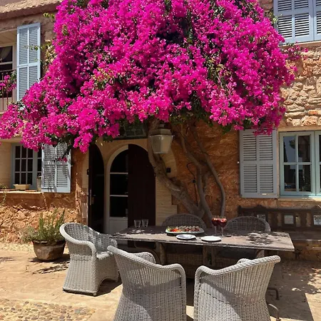 Charming Newly Renovated With Private Pool * Llombarts